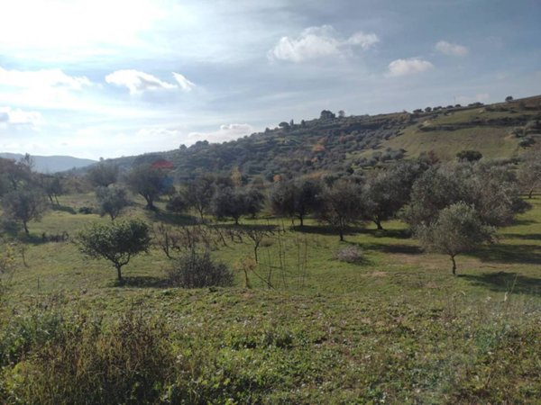casa indipendente in vendita a Piazza Armerina in zona Grottacalda