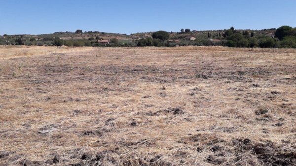 terreno agricolo in vendita a Pietraperzia