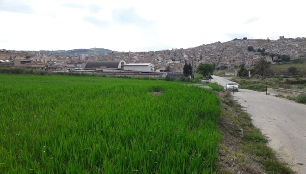 terreno agricolo in vendita a Pietraperzia