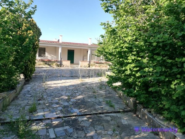 casa indipendente in vendita a Pietraperzia