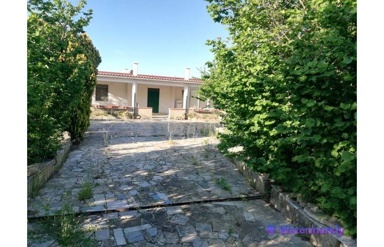 casa indipendente in vendita a Pietraperzia