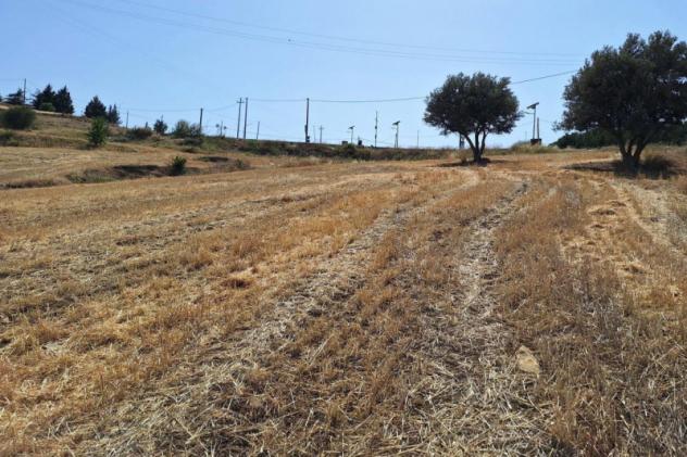 terreno agricolo in vendita a Regalbuto