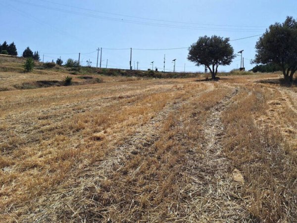 terreno edificabile in vendita a Regalbuto