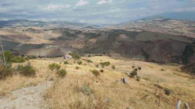 terreno agricolo in vendita a Troina