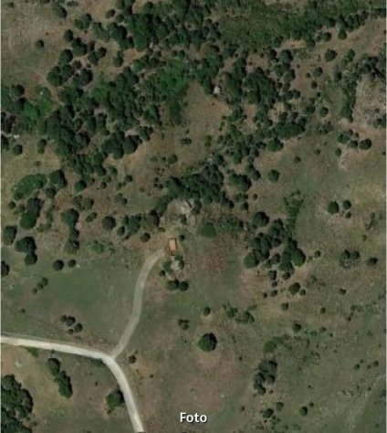 terreno agricolo in vendita a Troina