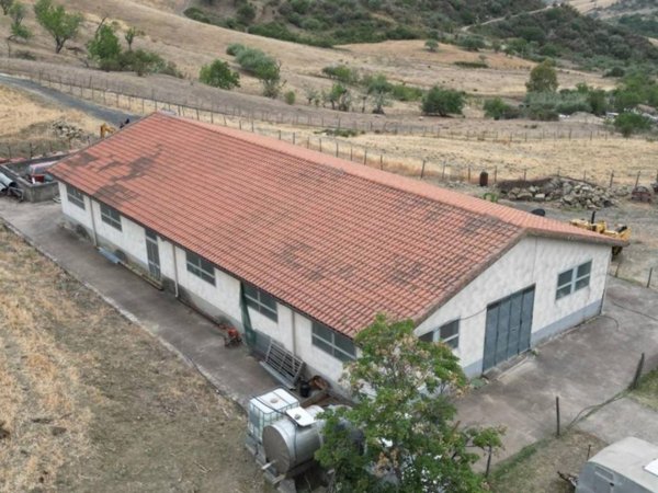 locale commerciale in vendita a Troina