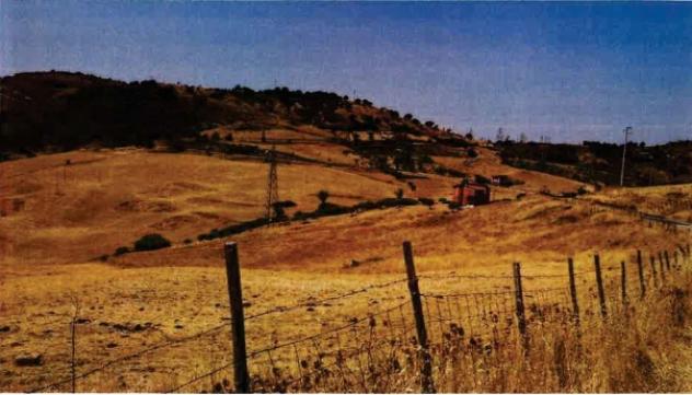 terreno agricolo in vendita a Troina