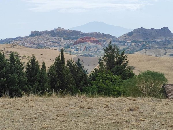 terreno agricolo in vendita a Troina