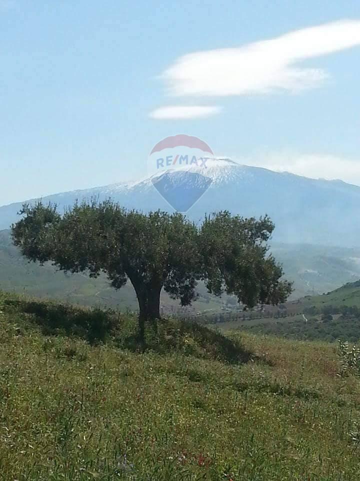 appartamento in vendita a Troina