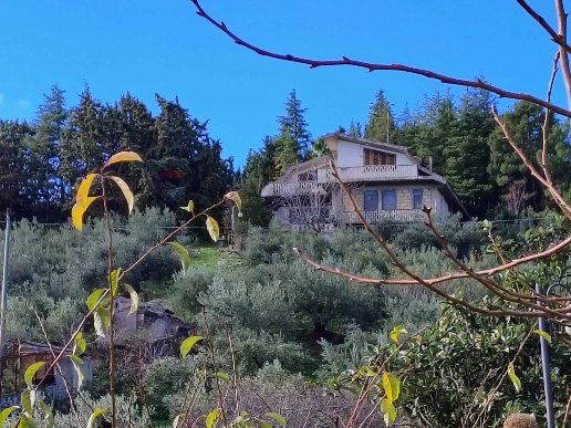 casa indipendente in vendita a Troina