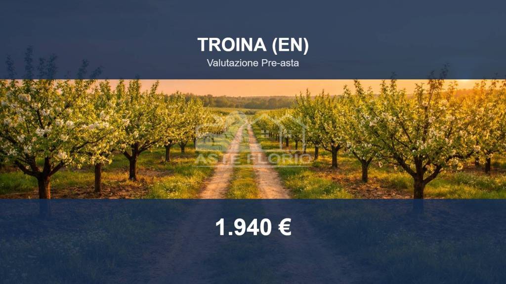 terreno agricolo in vendita a Troina