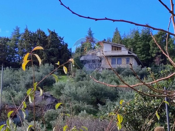 casa indipendente in vendita a Troina