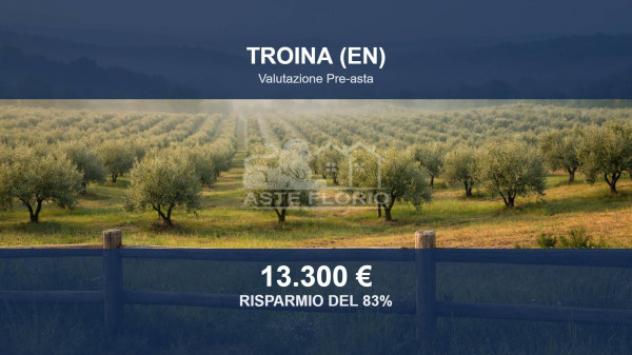 casale in vendita a Troina