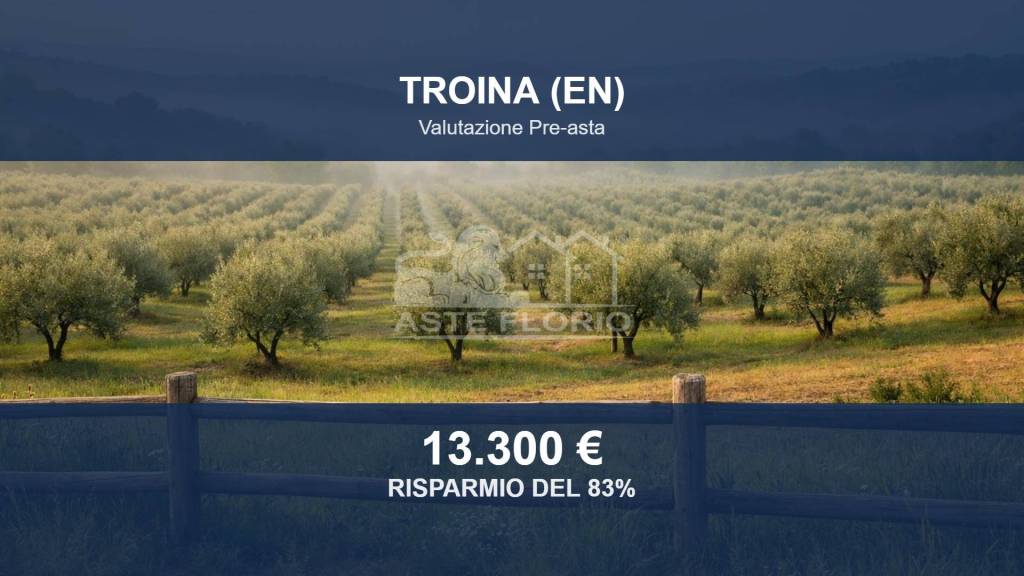 terreno in vendita a Troina
