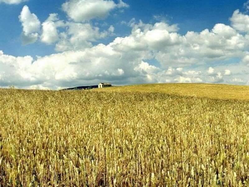 terreno edificabile in vendita a Valguarnera Caropepe