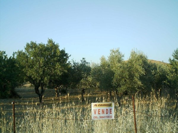 terreno agricolo in vendita a Villarosa
