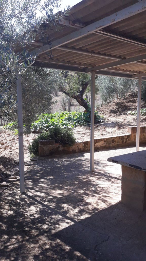 terreno agricolo in vendita a Villarosa