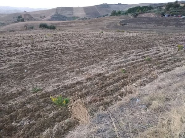 terreno agricolo in vendita a Villarosa