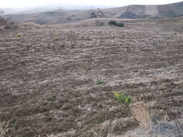 terreno agricolo in vendita a Villarosa