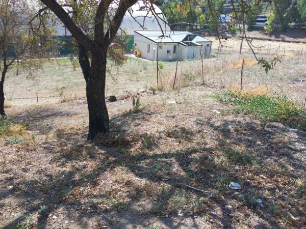 terreno agricolo in vendita a Villarosa