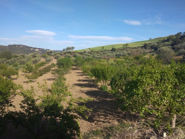 terreno agricolo in vendita a Villarosa