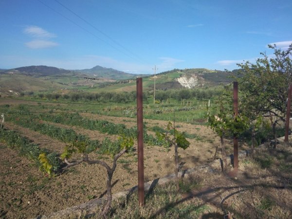 terreno agricolo in vendita a Villarosa