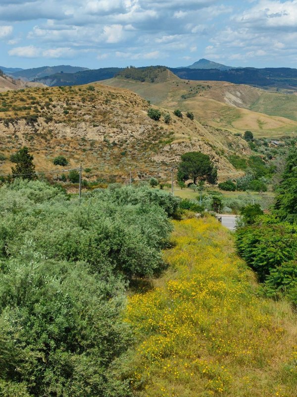 appartamento in vendita a Villarosa