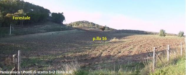 terreno agricolo in vendita a Villarosa