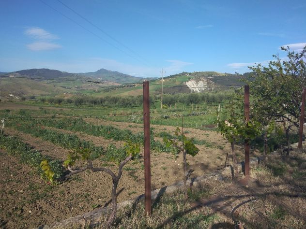 casa indipendente in vendita a Villarosa