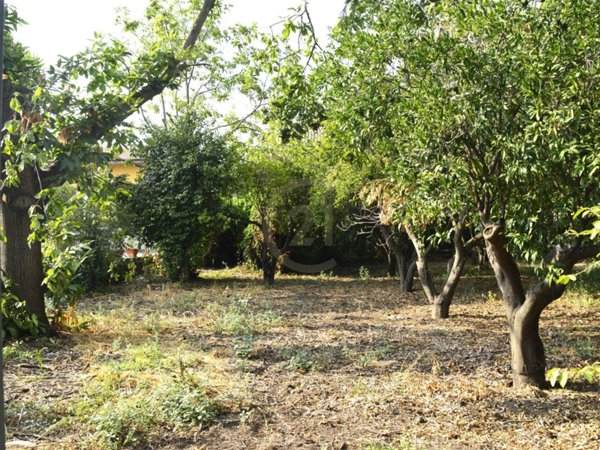 terreno agricolo in vendita ad Aci Bonaccorsi