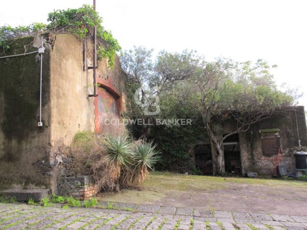 terreno agricolo in vendita ad Aci Castello in zona Cannizzaro
