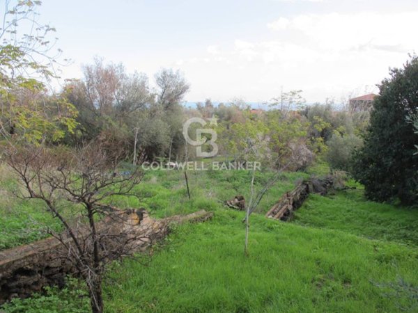 terreno agricolo in vendita ad Aci Castello in zona Cannizzaro