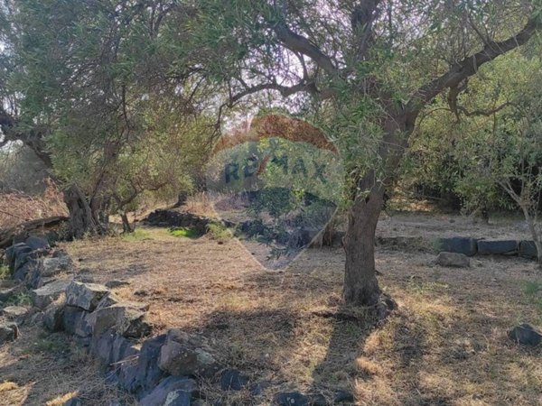 terreno agricolo in vendita ad Aci Castello
