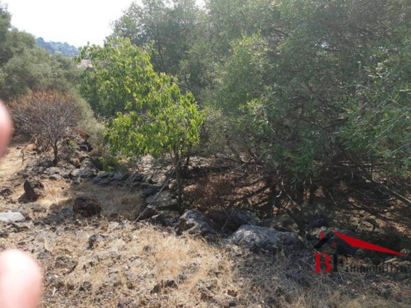 terreno agricolo in vendita ad Aci Castello in zona Ficarazzi