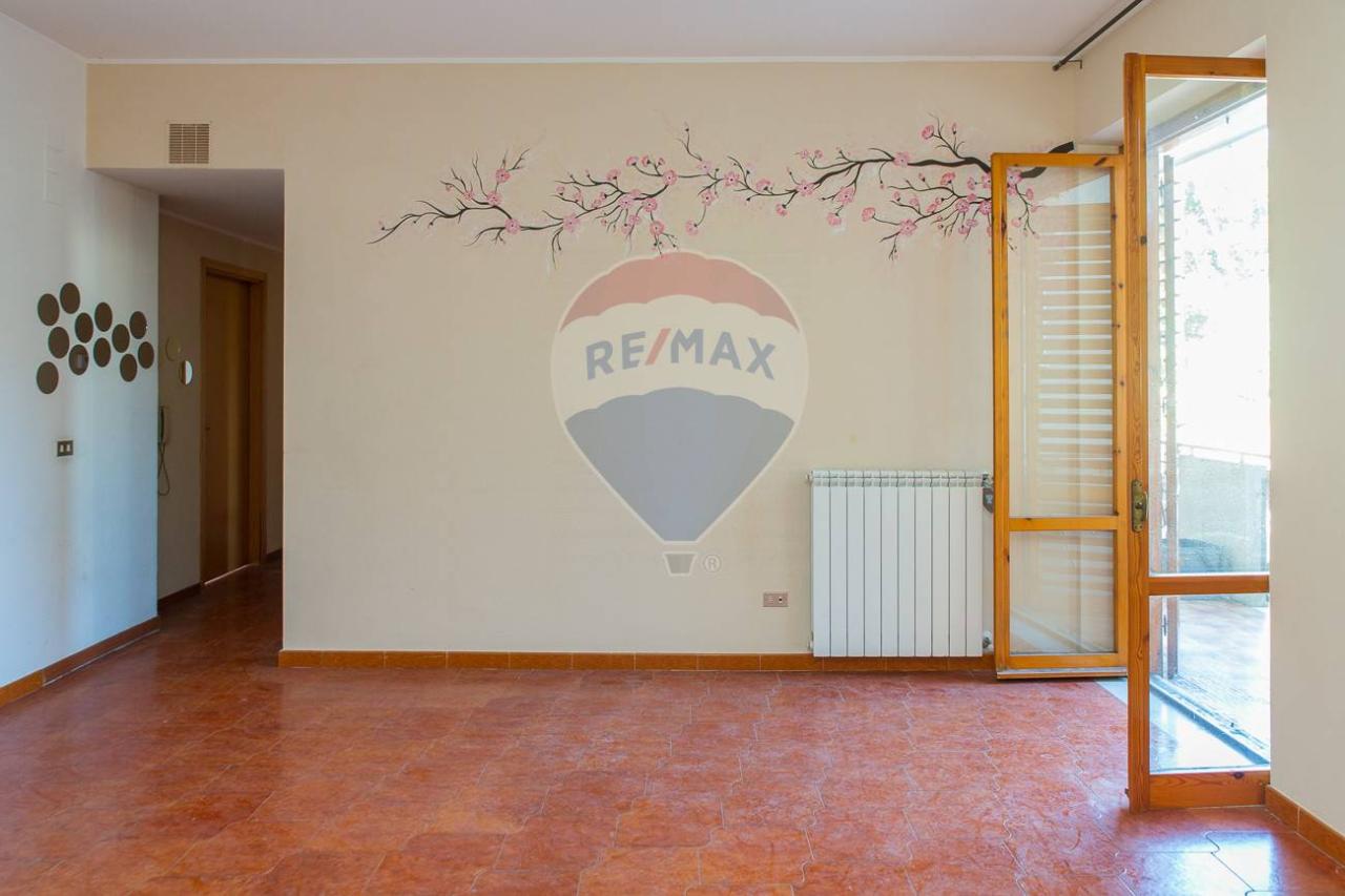 immagine annuncio 0 di 15