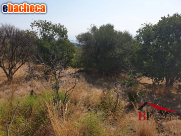 terreno agricolo in vendita ad Aci Castello in zona Ficarazzi
