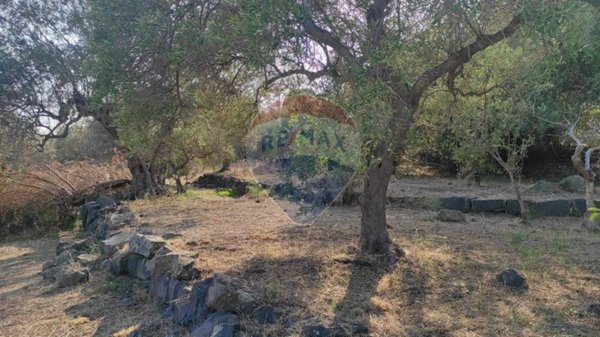 villa in vendita ad Aci Castello