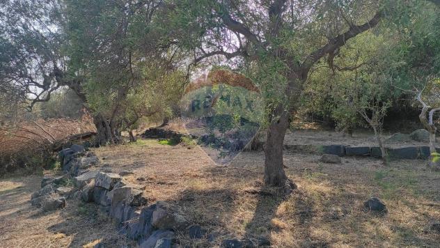 terreno agricolo in vendita ad Aci Castello