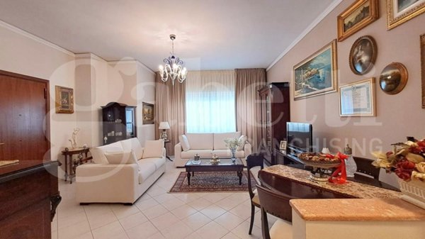 immagine annuncio 0 di 15