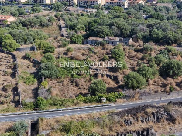 negozio in vendita ad Aci Castello in zona Cannizzaro
