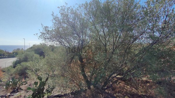 terreno agricolo in vendita ad Aci Castello
