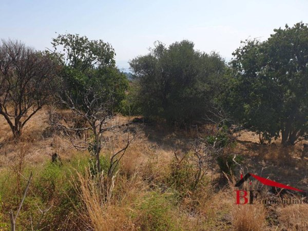 terreno agricolo in vendita ad Aci Castello in zona Ficarazzi