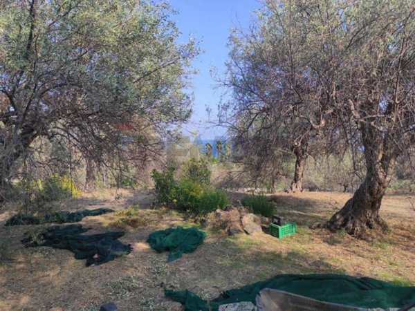 villa in vendita ad Aci Castello