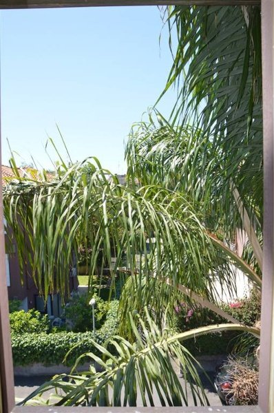 appartamento in vendita ad Aci Castello