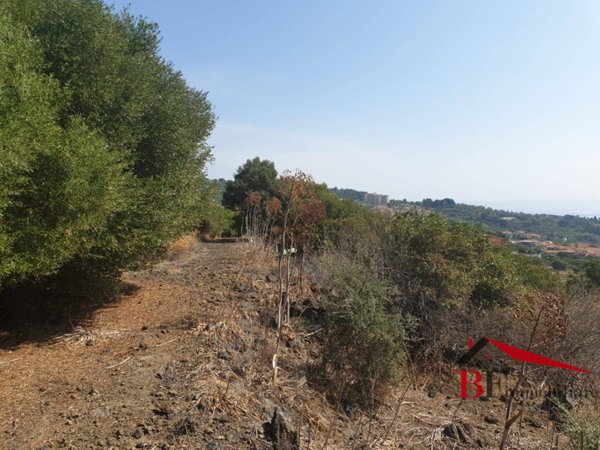 terreno agricolo in vendita ad Aci Castello in zona Ficarazzi