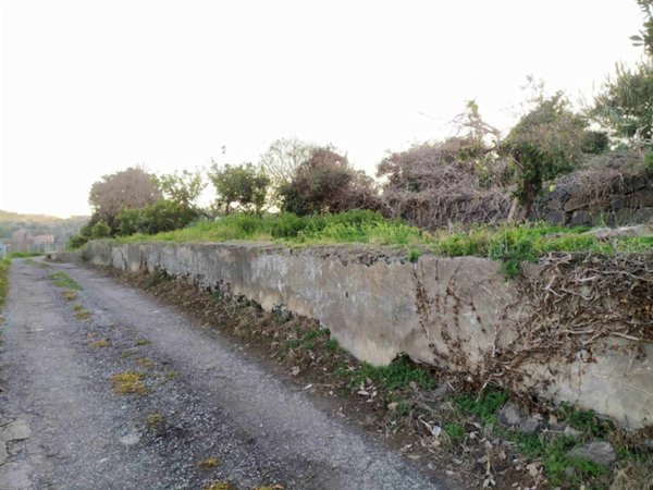 terreno agricolo in vendita ad Aci Catena
