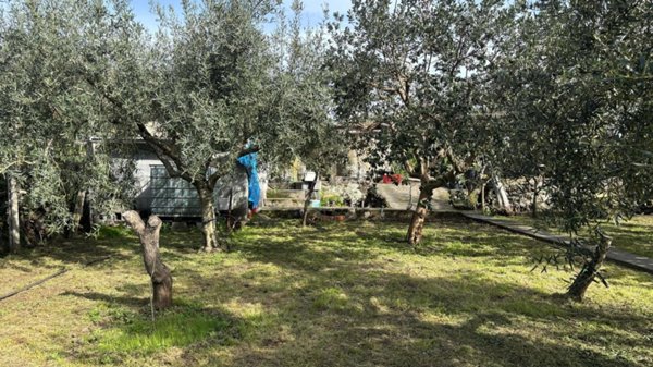 terreno agricolo in vendita ad Aci Catena