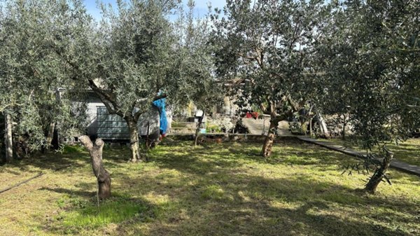 terreno agricolo in vendita ad Aci Catena