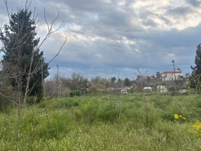 terreno agricolo in vendita ad Aci Catena