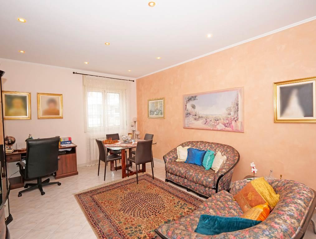 immagine annuncio 0 di 15